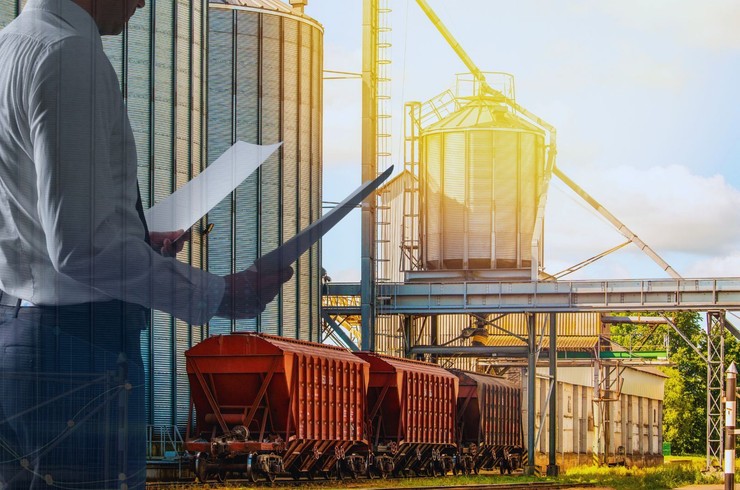 Kluczowe wnioski z listopadowego raportu United States Department of Agriculture (USDA)