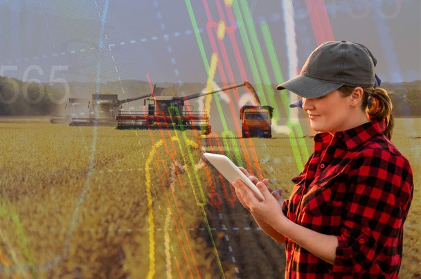 Raport WASDE - jakie prognozy popytu i produkcji płodów rolnych