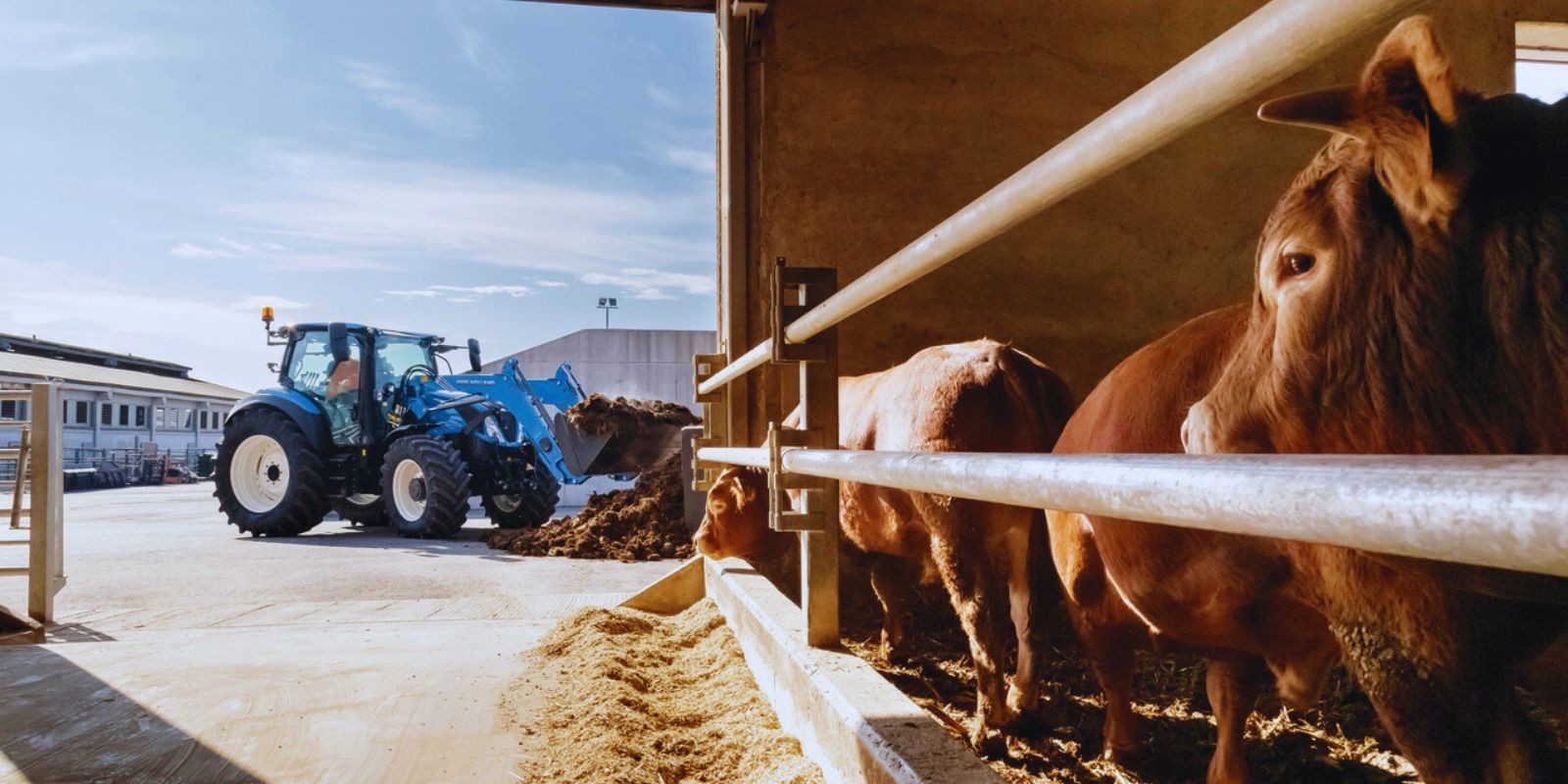 Rozwiązania finansowe dla gospodarstw rolnych