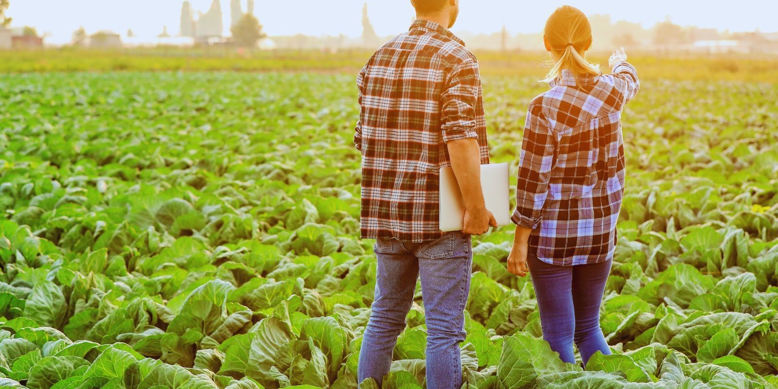 Rozwiązania związane z prowadzoną działalnością rolnika