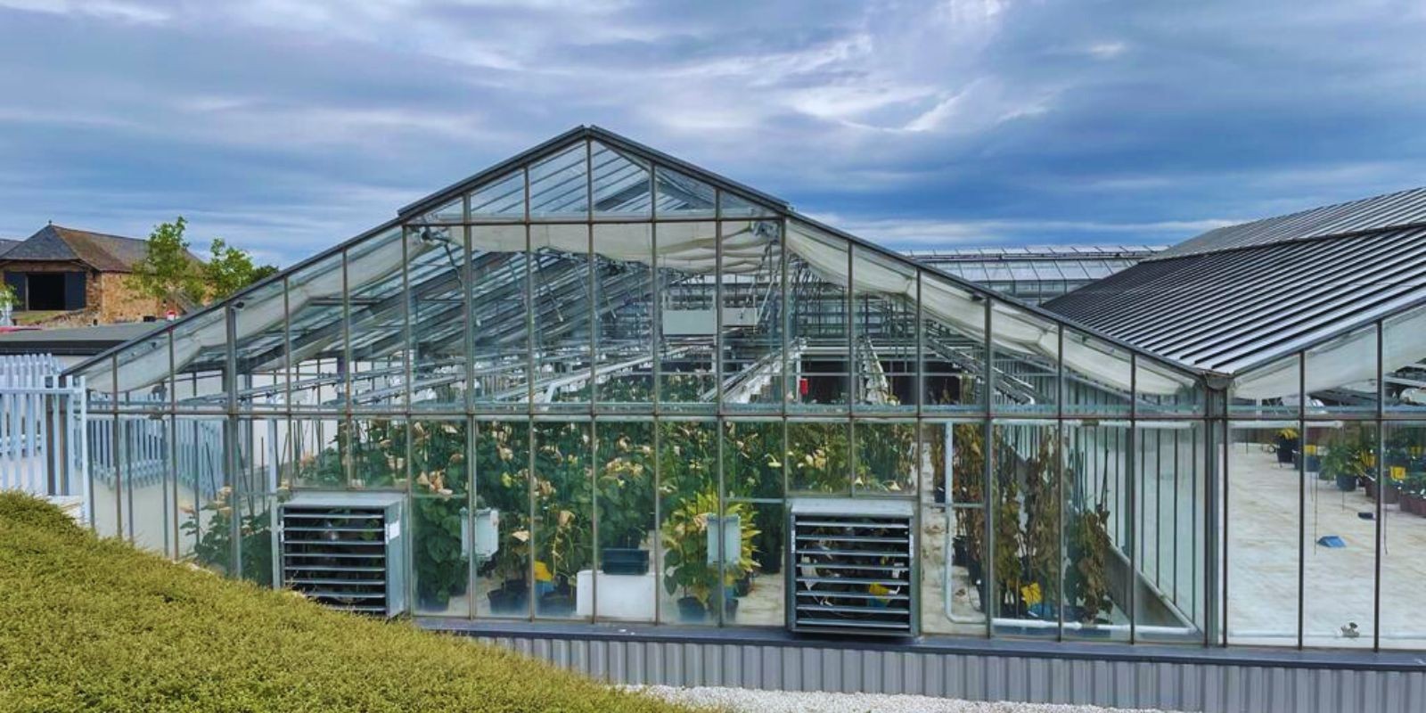 Szklarnie, gdzie testowane są różne gatunki roślin