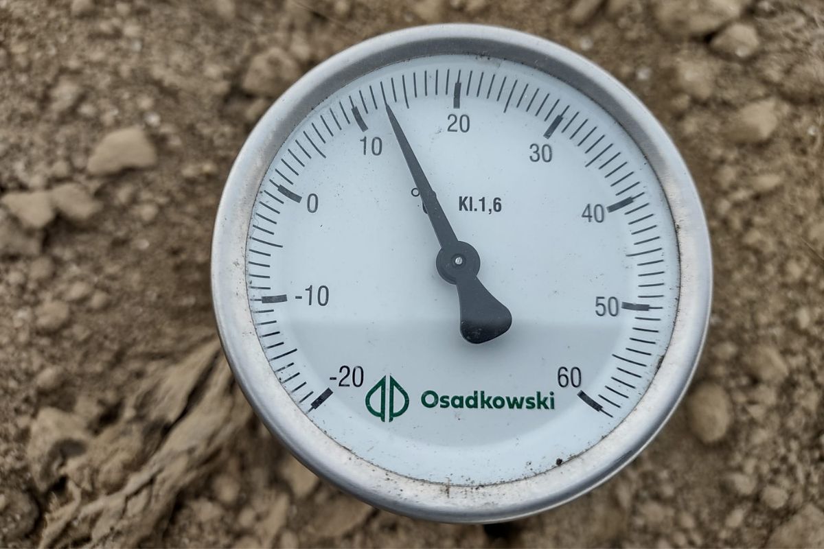 Temperatura gleby determinuje termin siewu kukurydzy
