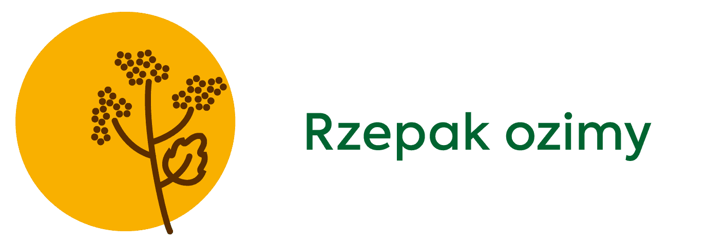 Osadkowski rzepak