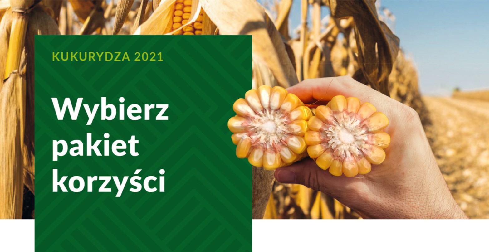wybierz pakiet korzyści
