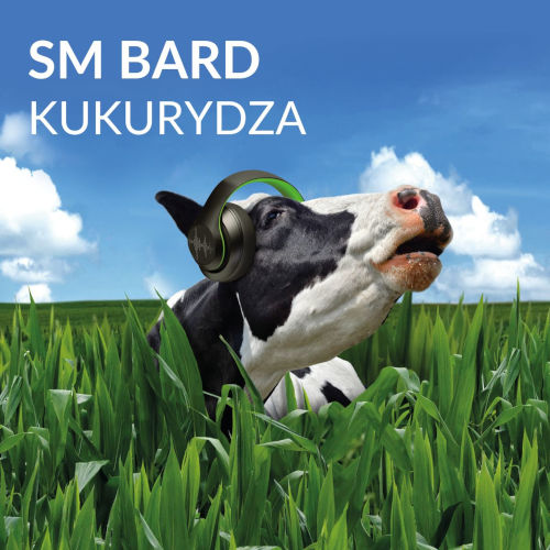 Energetyczna kiszonka - SM Bard o wysokiej zawartości skrobi