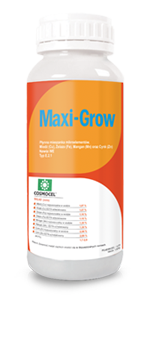 butla maxi grow