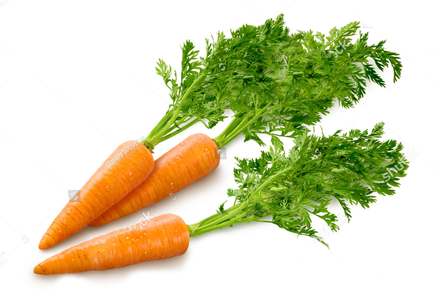 stock photo carrots isolated on a white background 123170950 2