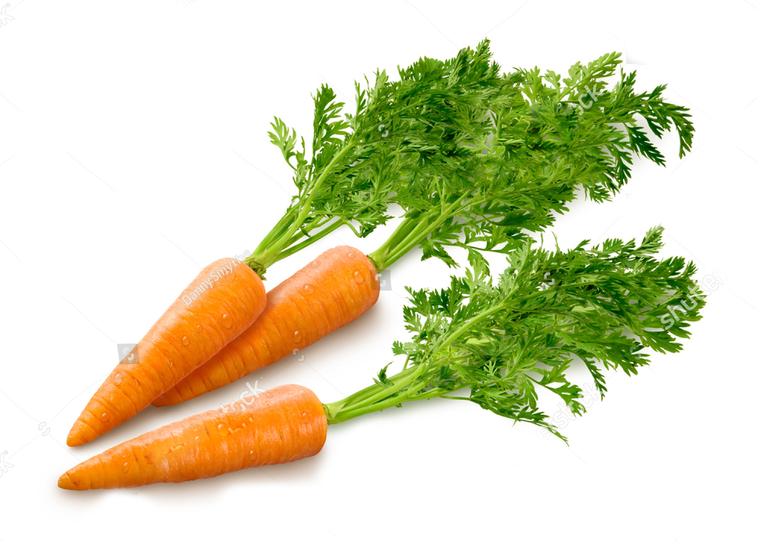 stock photo carrots isolated on a white background 123170950