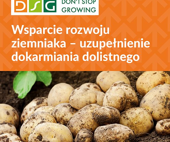 DSG ziemniak agrotechnika 576x