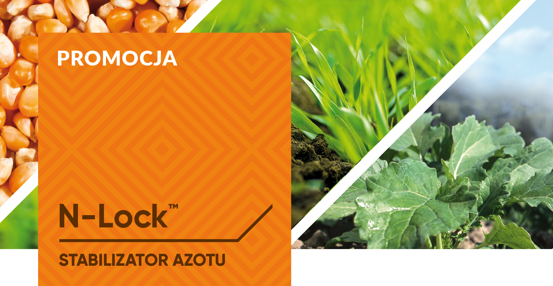OSA N LOCK header