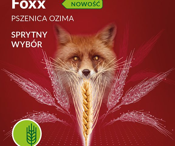 Odmiany  zajawka FOXX 576px