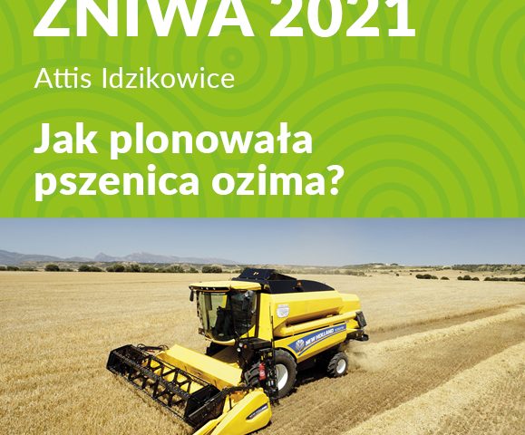 2021 08 24 Zbior Attis Idzikowice  zajawka