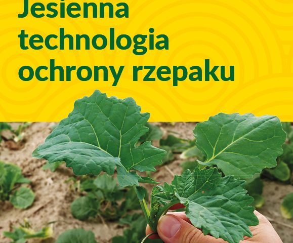 2021 08 27 Aktualnosc Jesienna technologia ochrony rzepaku Zajawka