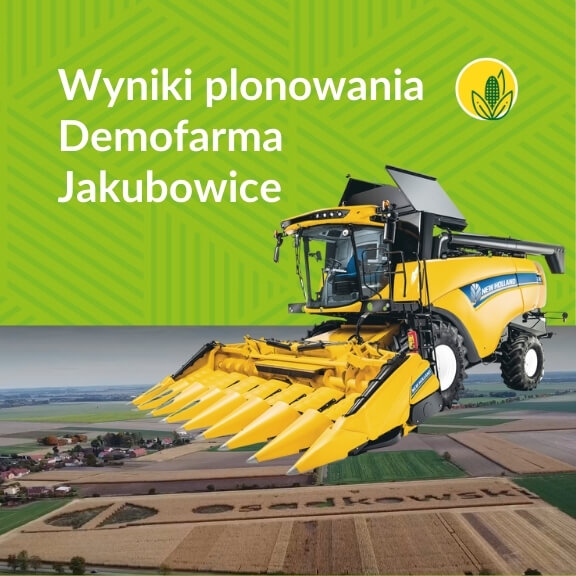 wyniki plonowania 2021 PROjekt kukurydza Osadkowski