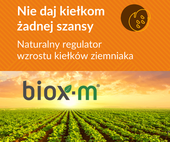 biox m ziemniak A