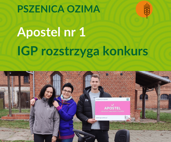 pszenica IGP apostel osadkowski nagroda traktor A