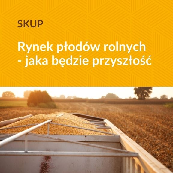 SKUP - Sytuacja na rynku płodów rolnych