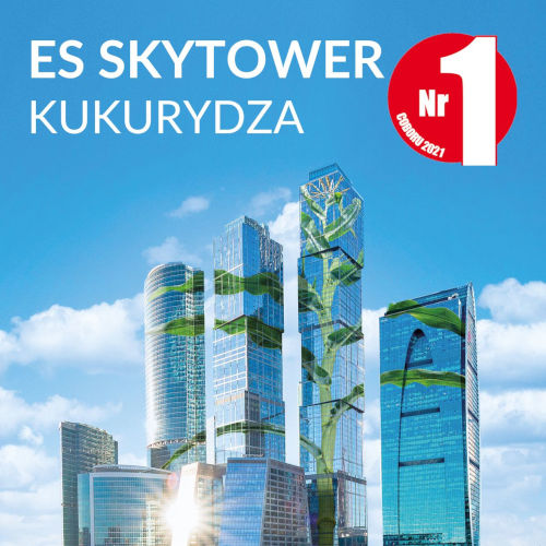 Najlepsza kukurydza na kiszonkę - ES Skytower numer 1 COBORU 2021-2022