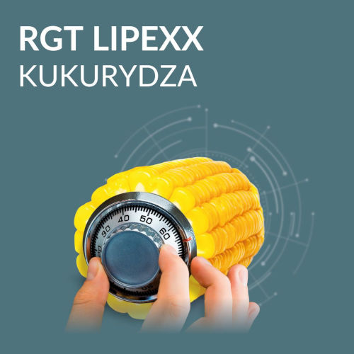 kukurydza FAO 270 - RGT Lipexx