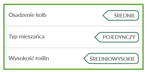 Morfologia i genetyka kukurydza Ambador