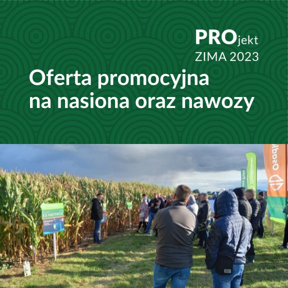 PROjekt ZIMA - oferta promocyjna