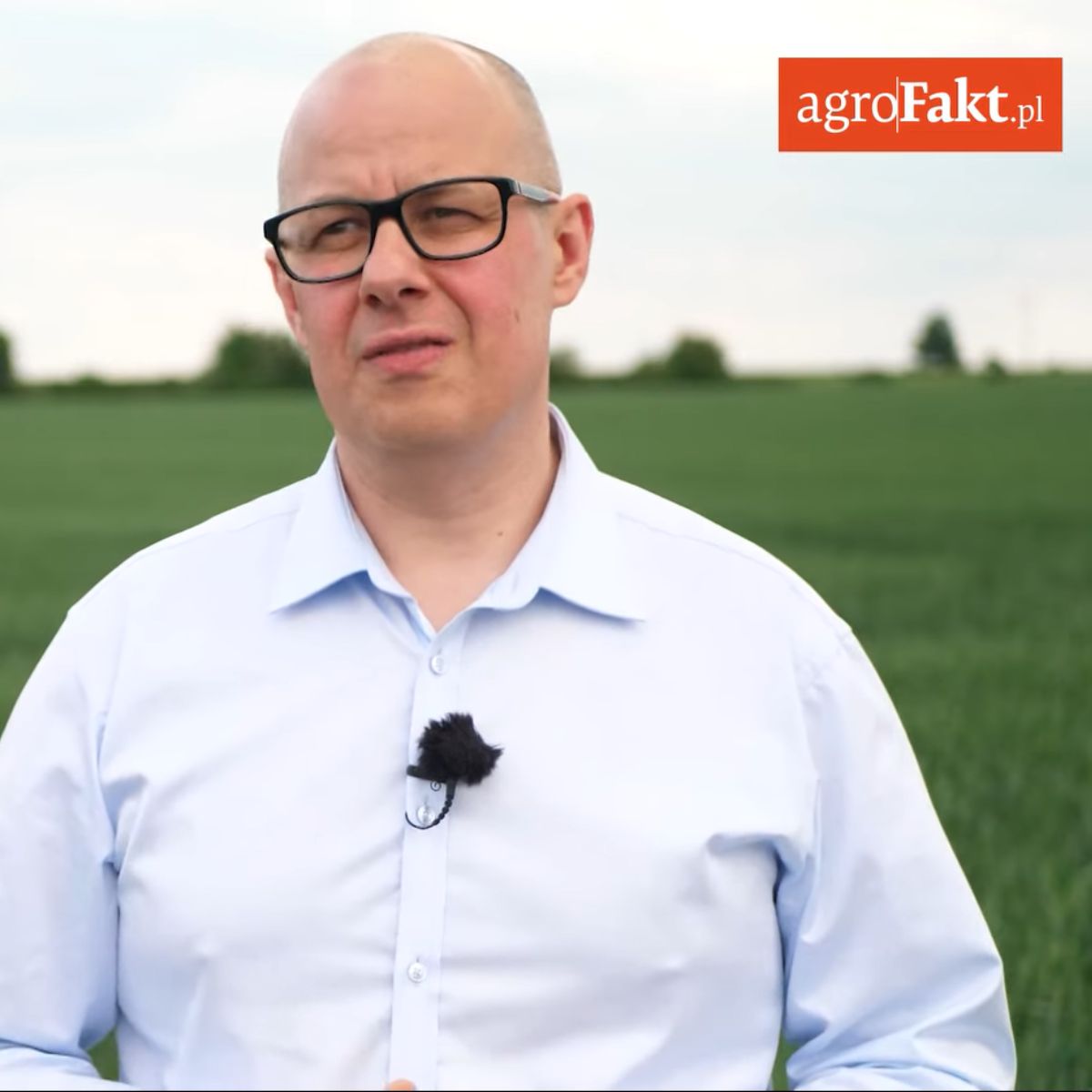 agroFakt - Ceny zbóż i sytuacja na rynku