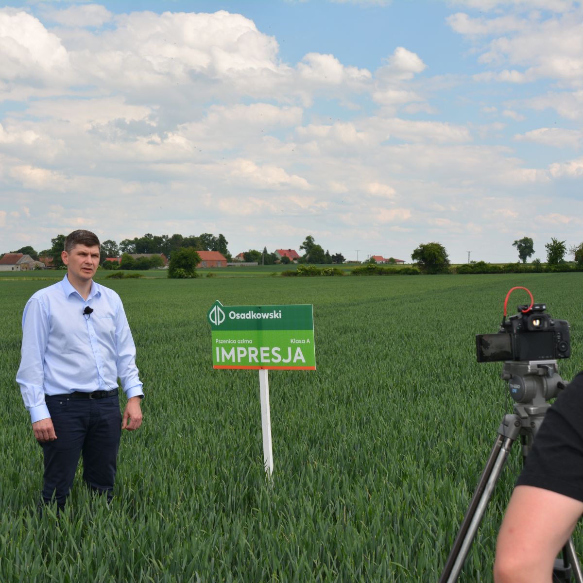 agroFakt - rekomendowane odmiany zbóż 2022