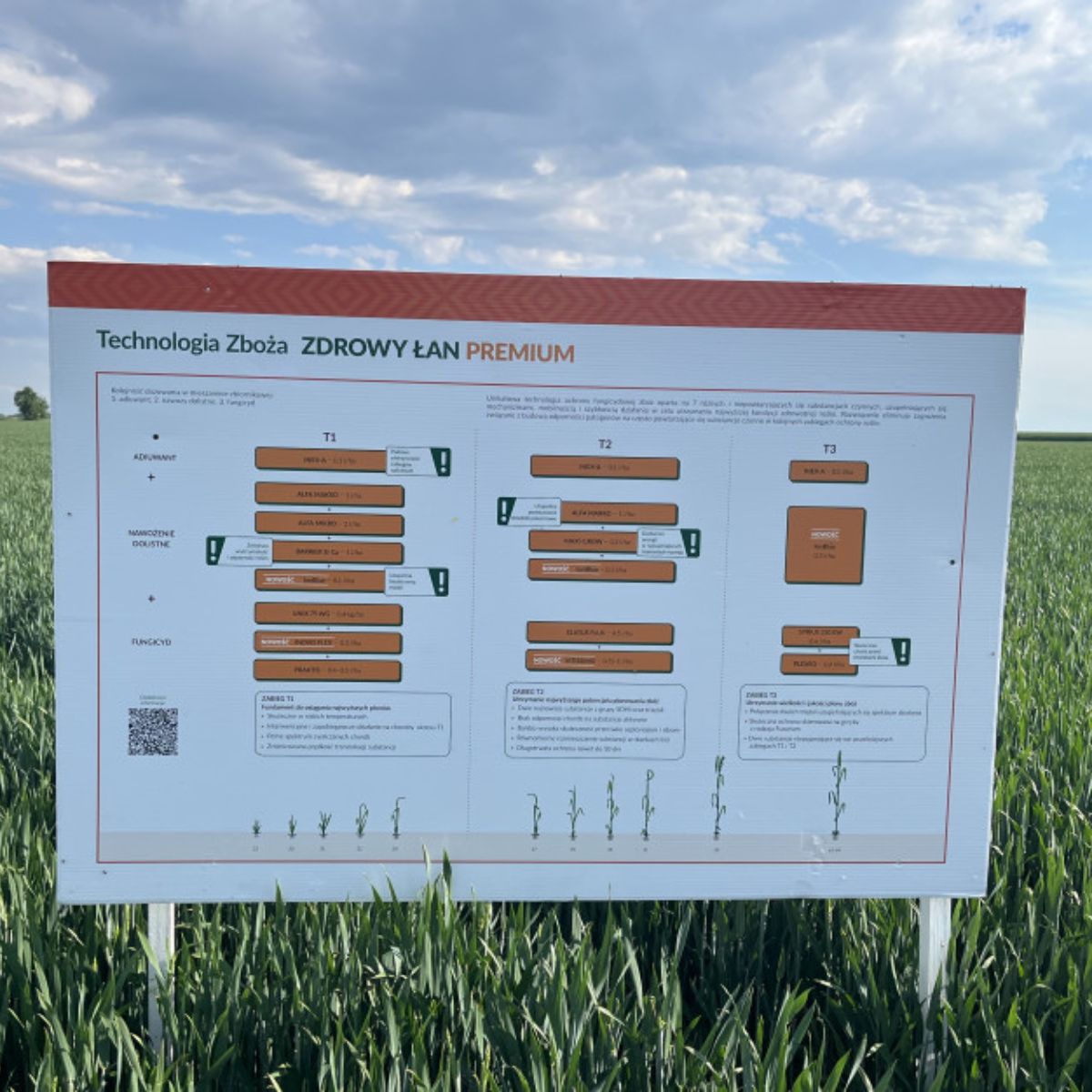 farmer.pl - Technologiczny Fenomen