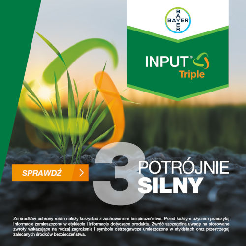 Bayer - Input Triple