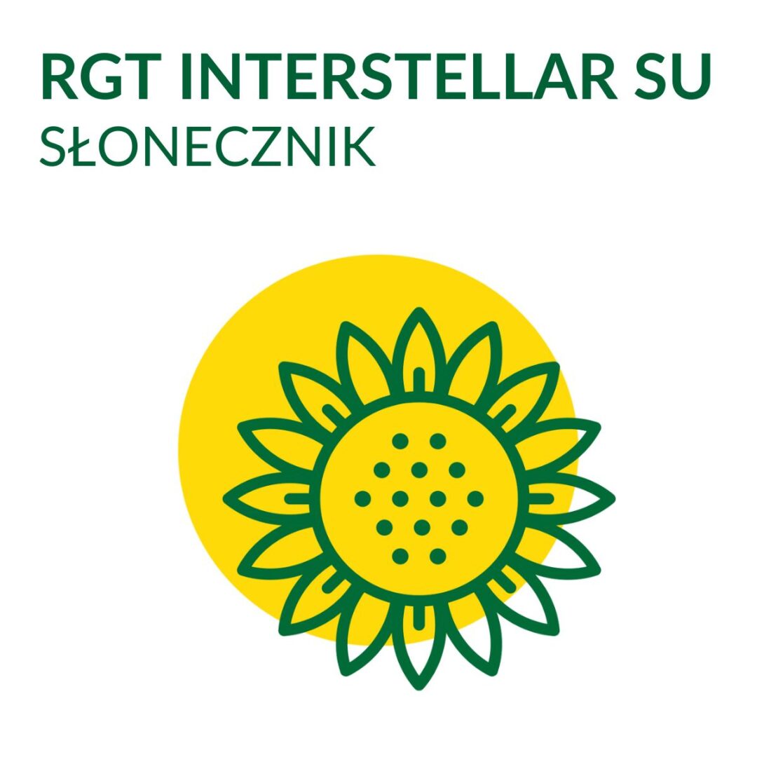 Słonecznik do siewu RGT Interstellar SU